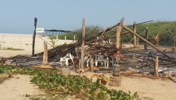 No tener madre nivel: Sujetos armados destruyen y queman campamento tortuguero en Oaxaca