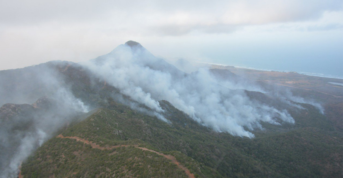 Actualmente hay 95 incendios forestales activos en 18 estados: Conafor