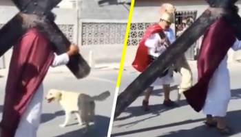 Ternura nivel: Perrito callejero intenta defender a 'Jesús' durante un viacrucis de Semana Santa