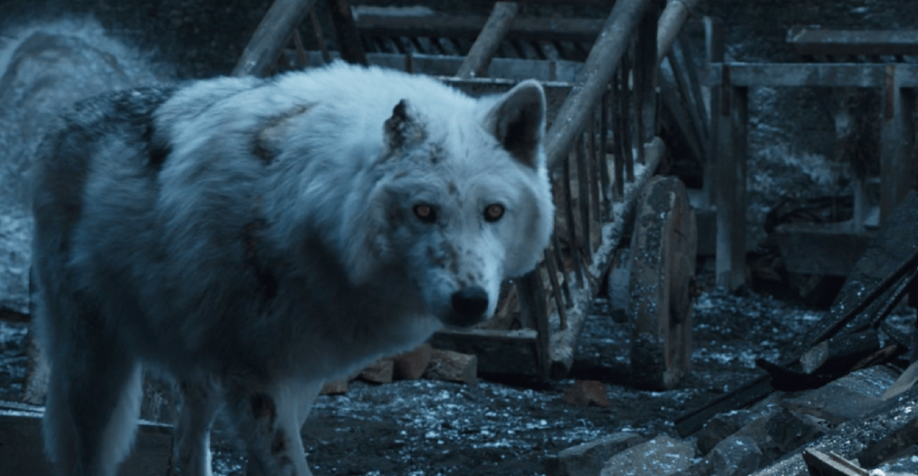 Esta es la absurda razón por la que Jon Snow no se despidió de Ghost en Game of ThronesE GHOST EN ‘GAME OF THRONES’