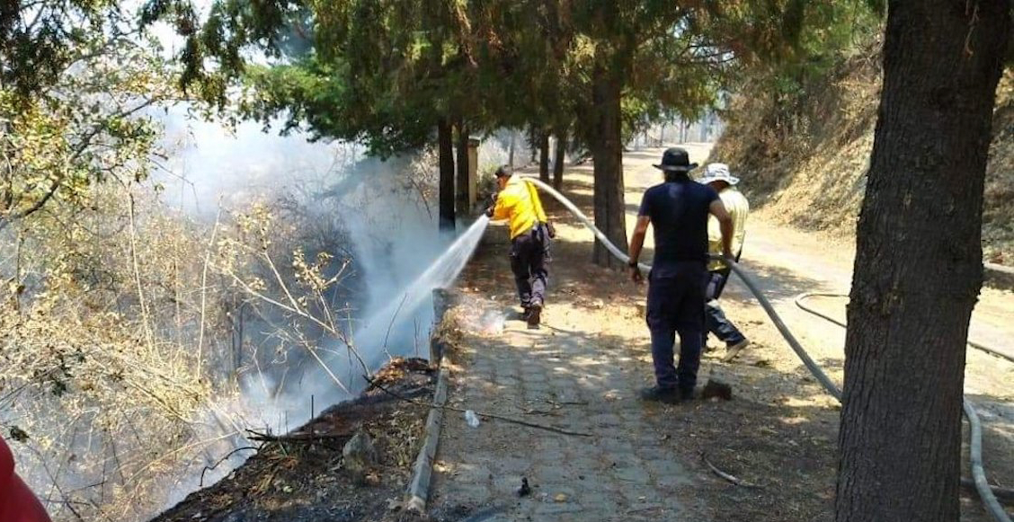 Reportera que documentó incendios forestales en Michoacán es víctima de amenazas