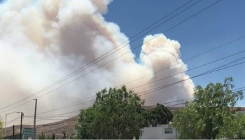 Viento reaviva incendio forestal en la Sierra de San Miguelito, SLP