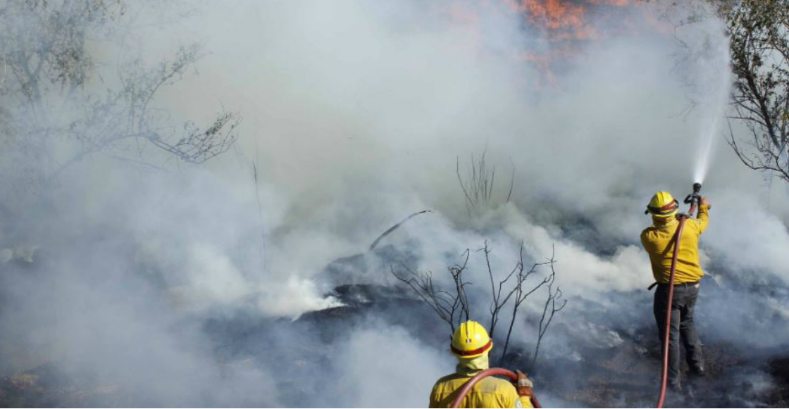 Aún Se Reportan 106 Incendios Forestales En 19 Estados Conafor