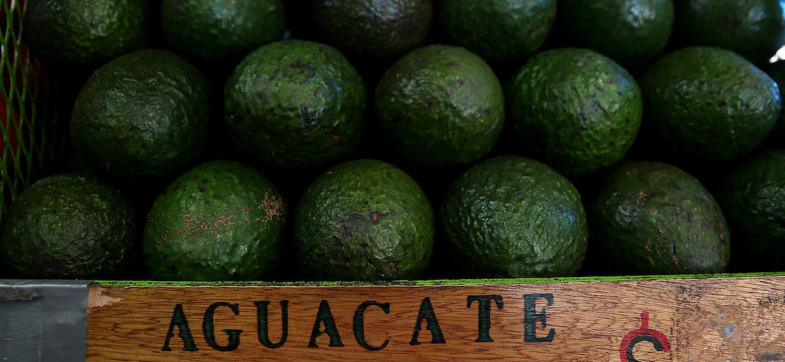 ¡Ojo! El precio del aguacate alcanza los 100 pesos; podría llegar a los 130