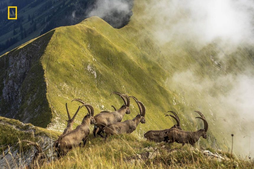 Las mejores fotos del Travel Photo Contest 2019 de NatGeo