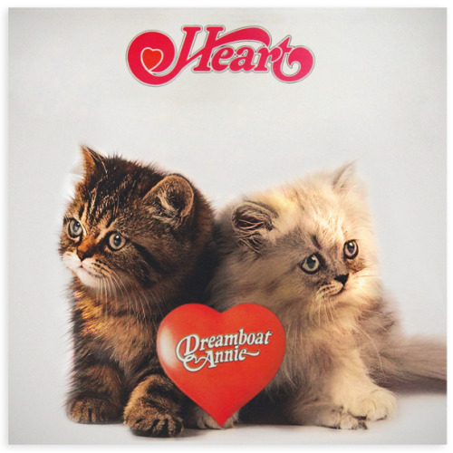 Gatos se robaron las portadas de tus discos favoritos