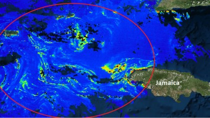 Se acerca a Quintana Roo una mancha de sargazo de 550 kilómetros de diámetro