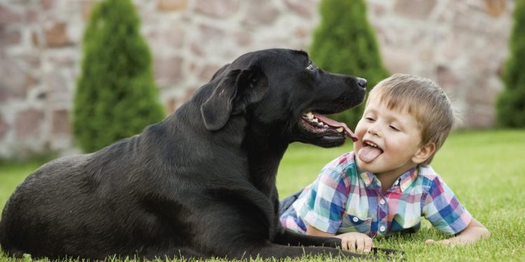 Las razas de perros más peligrosas para los niños, según la ciencia