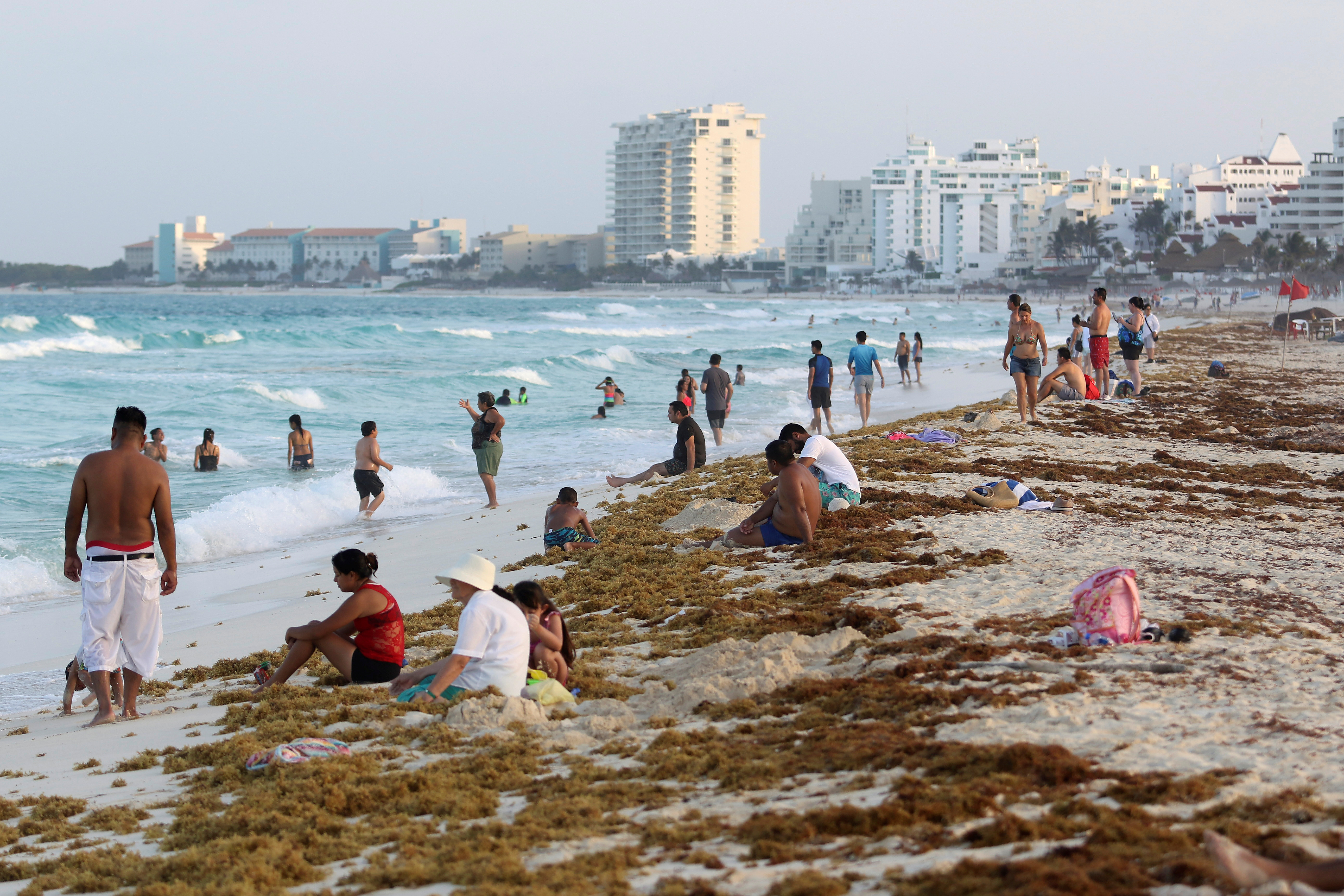 5 puntos para dimensionar el problema de la llegada de sargazo al Caribe mexicano