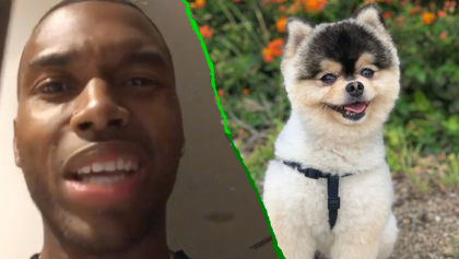 El emotivo video en el que Daniel Sturridge pide que le devuelvan a su perro