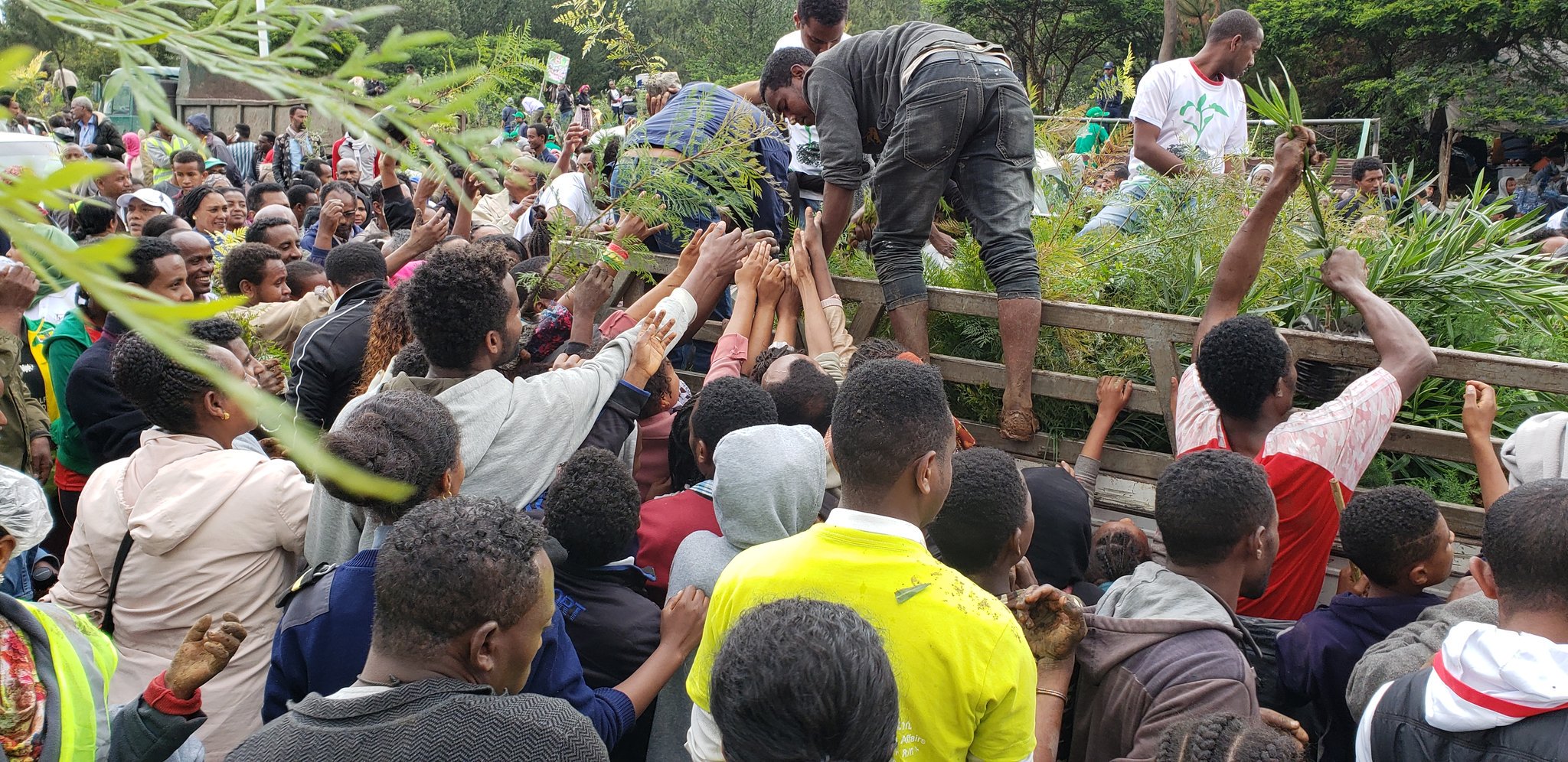 etiopia-planta-millones-arboles-12-horas-africa-02