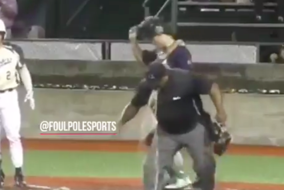 Umpire detuvo un partido de beisbol para vomitar en el campo 🤮