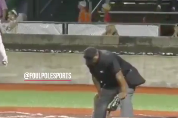 Umpire detuvo un partido de beisbol para vomitar en el campo 🤮