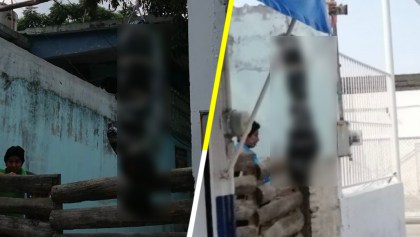 Como cuando los vecinos llaman a la policía para denunciar un "embolsado"... y resulta ser una piñata