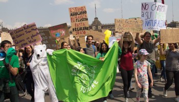 fridays-future-comop-cuando-donde-huelga-mundial-clima-mexico