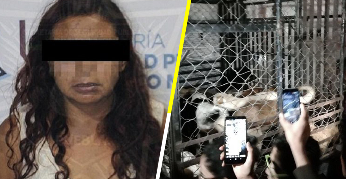 Mujer que secuestraba y mataba perros en Puebla es liberada por las autoridades