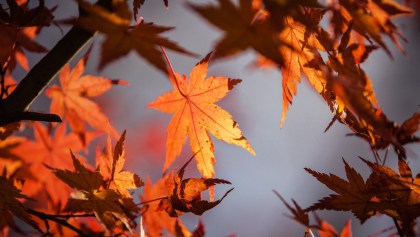 ¡Abusados! El otoño ya llegó y trae consigo al frente frío número 1