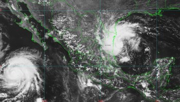 Se formó la tormenta tropical "Fernand" frente a las costas de Tamaulipas
