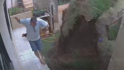 ¡ALV! Hombre explota su jardín al intentar eliminar un nido de cucarachas