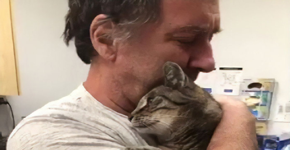 ¡Otro emotivo reencuentro! Este hombre se reunió con su gato siete años después de su desaparición