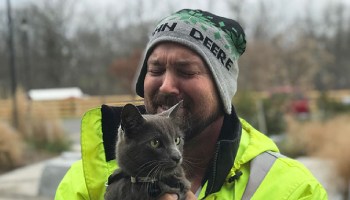 Rudo y cursi: Un camionero llora de emoción al reencontrarse con su gato