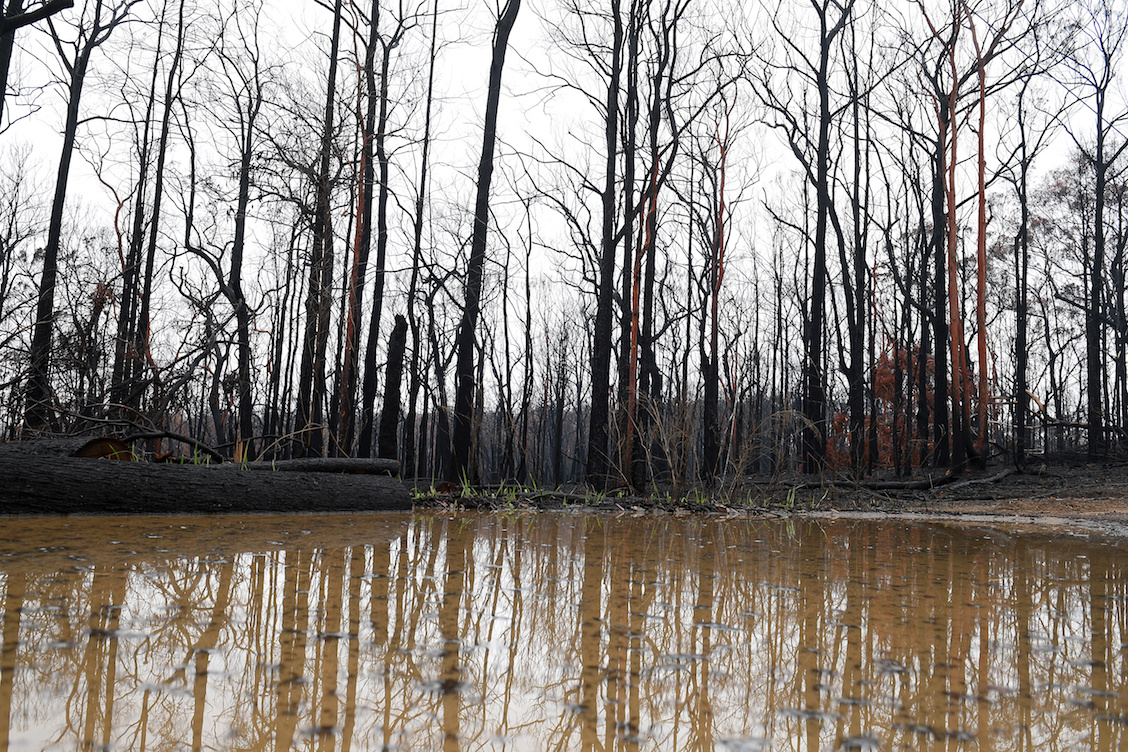 Lluvia-australia-incendios-forestales