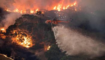 incendio-australia-fotos-muertos-video-imagenes-personas-animales-mueren-destacada