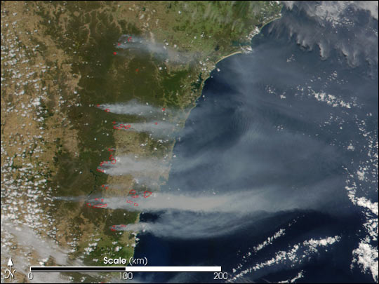 Así se ven los terribles incendios forestales en Australia desde el espacio