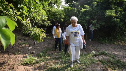 Colectivo Solecito publica nueva lista de credenciales encontradas en fosa clandestina