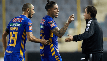 "Cachorritos": Presidente del Alianza FC se burló de Tigres