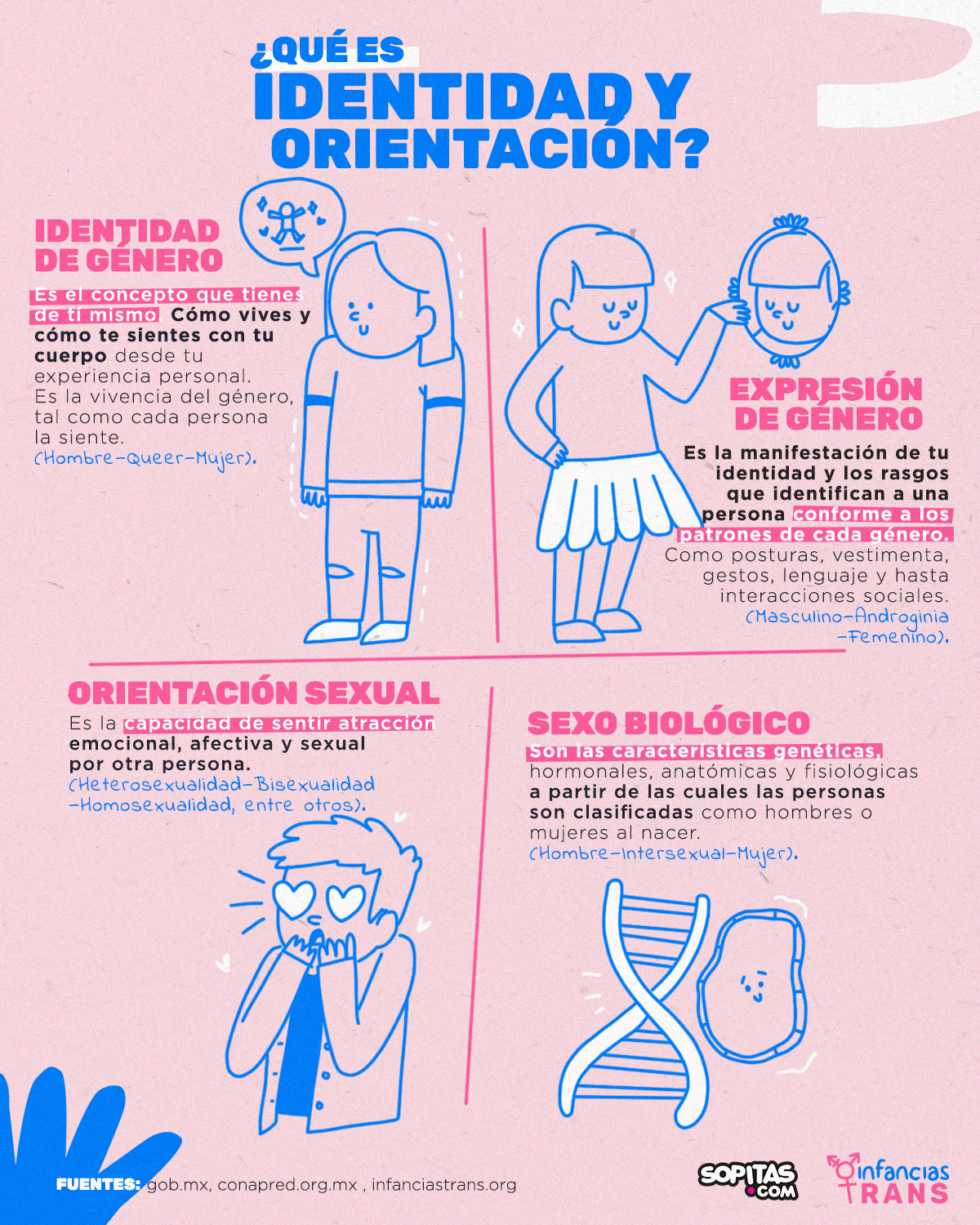 infografia-infancias-trans-sopitas-explicacion-02