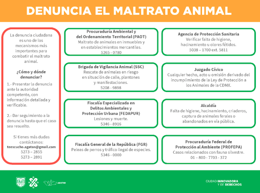 recomendaciones-maltrato-animal-santa-maria-la-ribera