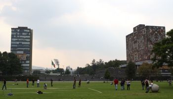 UNAM brindará orientación vocacional en línea y así puedes recibirla