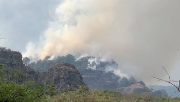 tepoztlan-incendio