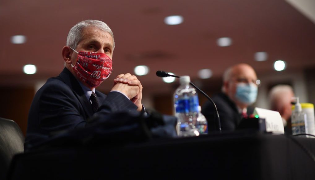 anthony-fauci-estados-unidos-coronavirus-casos-diarios