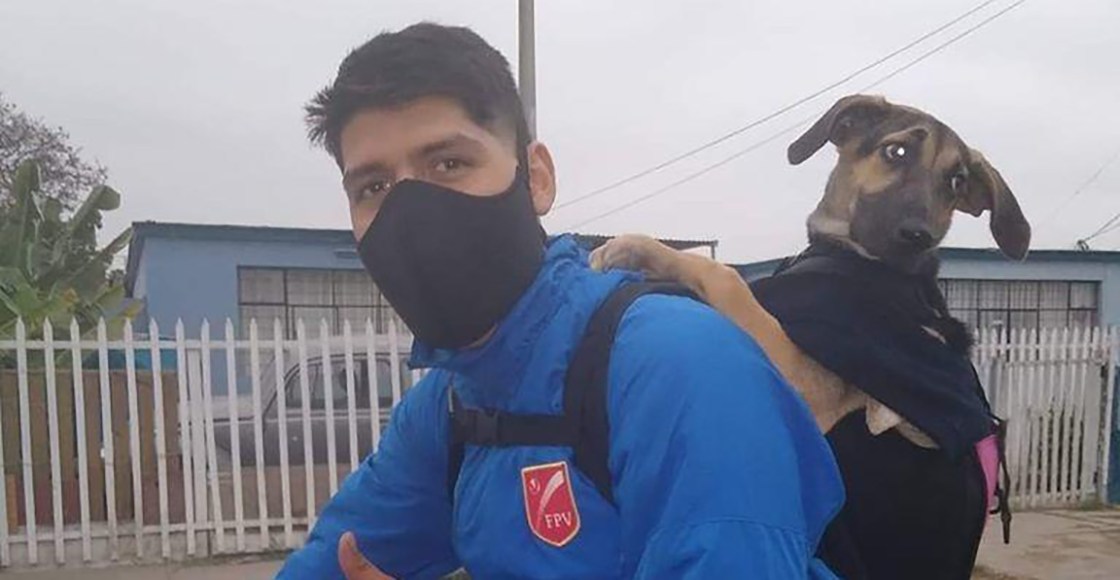 ¡Amigos de verdad! Joven adopta a una perrita mientras hacía encargos y ahora la lleva a todos lados