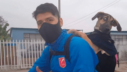 ¡Amigos de verdad! Joven adopta a una perrita mientras hacía encargos y ahora la lleva a todos lados