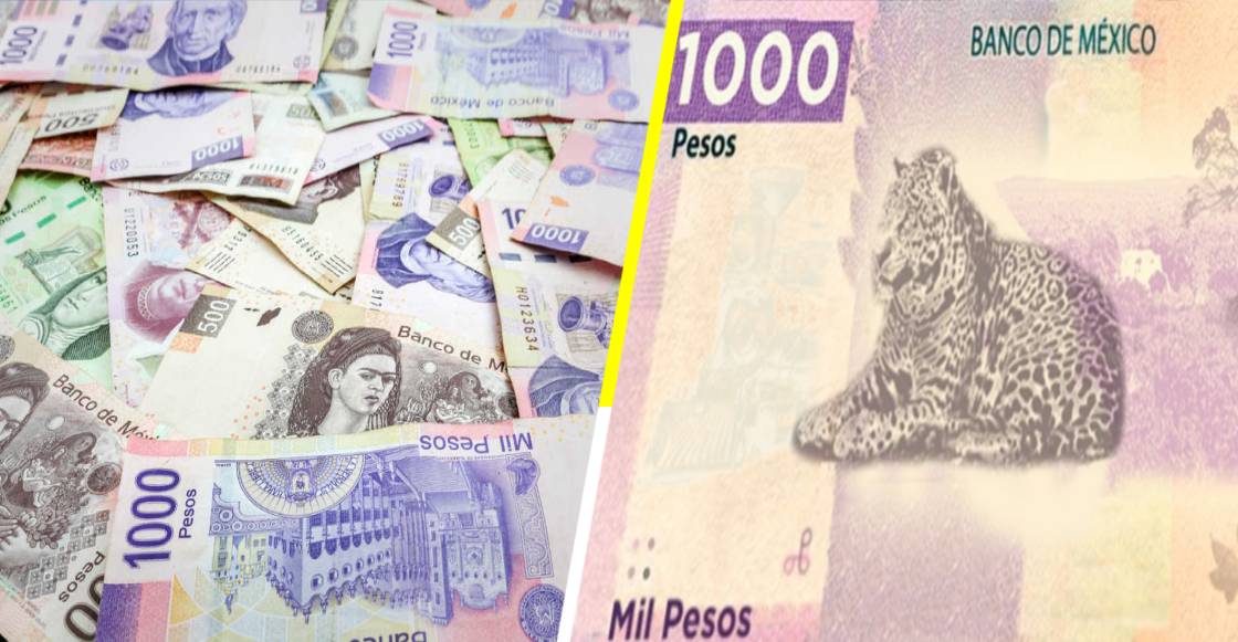 ¡Revolucionario! Así será el nuevo billete de mil pesos