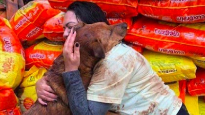 Este perrito recibió con un abrazo a la mujer que donó comida para el albergue donde vive