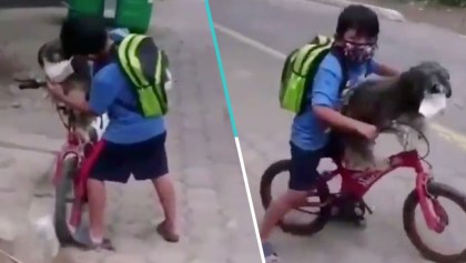 Niño le pone cubrebocas a su perro para ir a la tiendita y se vuelve viral