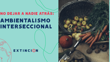 extincion-mirada-al-ambientalismo-interseccional