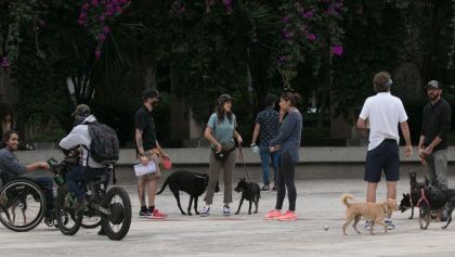 jovenes-no-creen-en-coronavirus-mexico