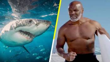 Mike Tyson encontró un rival a su altura en la Semana del Tiburón de Discovery Channel