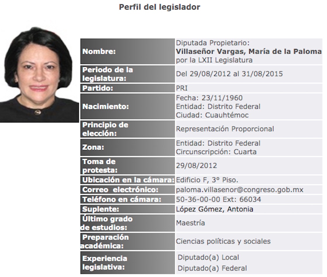 paloma-villaseñor-pri-consul-mexico-sre