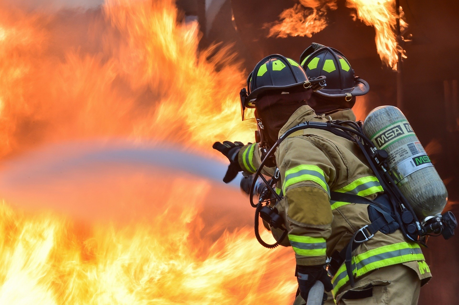 Heroína de cuatro patas: Una perrita despertó a sus dueños a tiempo y los salvó de un incendio