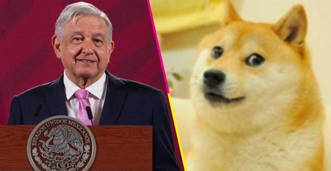 amlo-mascotas-perro-comer