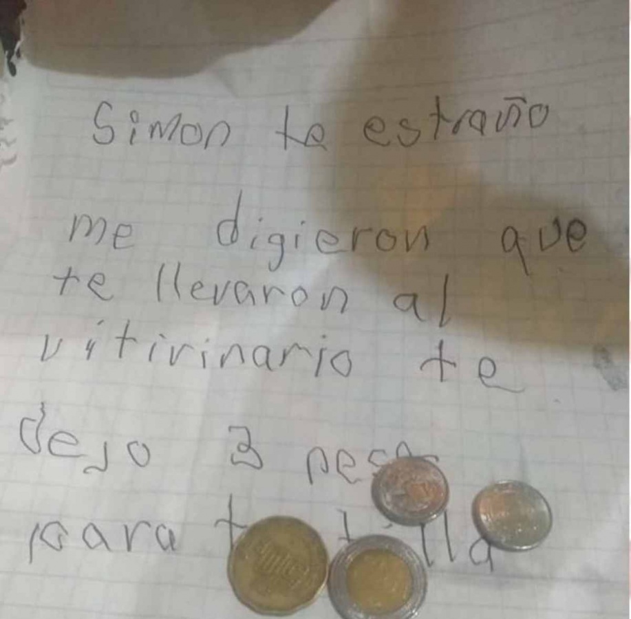 No lo olvida: Niño sigue escribiéndole cartas al perrito que tuvo que abandonar en un refugio 🥺