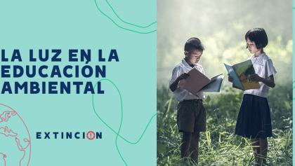 extincion-importancia-educacion-ambientalportancia-educacion-ambiental