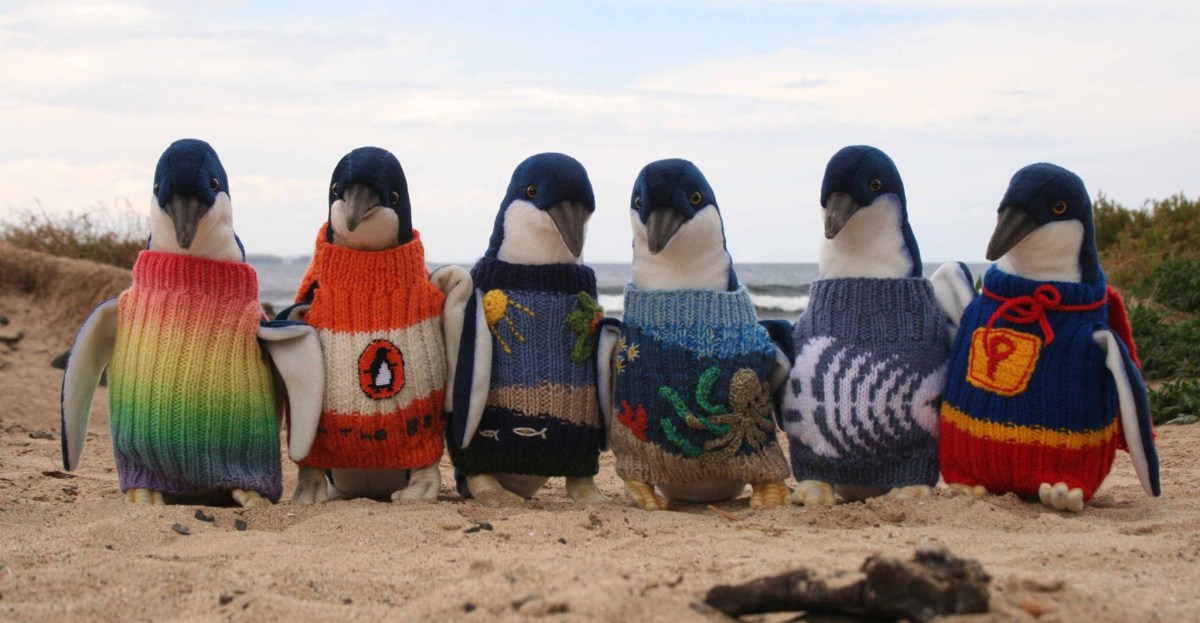 Hombre de 109 años tejió suéteres para pingüinos heridos en sus últimos días