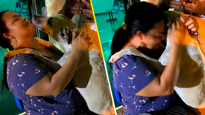 Mujer adopta al perrito que la consoló cuando su madre murió por coronavirus